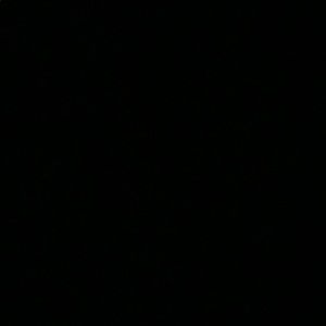 Meet your Posher, Jacqueline